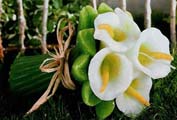 Bouquet calle